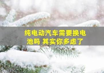 纯电动汽车需要换电池吗 其实你多虑了